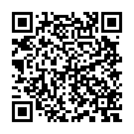 QR code for S11009