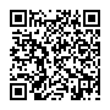 QR code for S11229