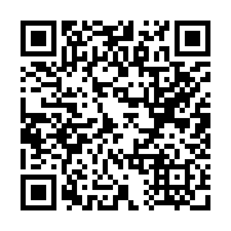 QR code for S11938