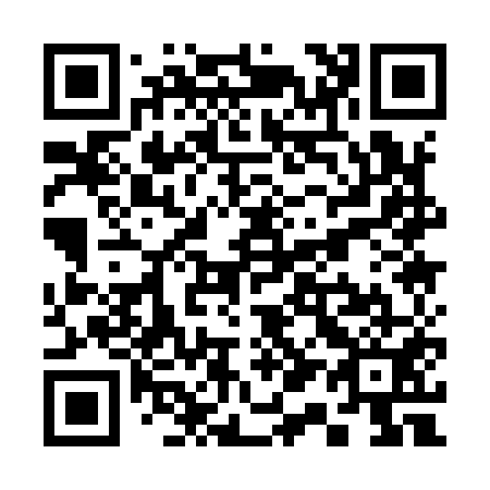 QR code for S11951