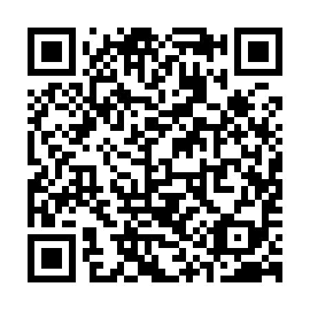 QR code for S11999