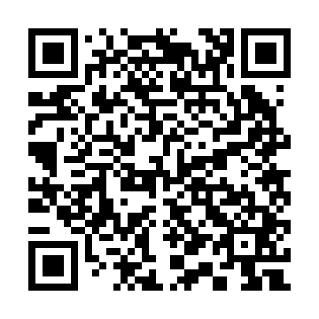 QR code for S12241