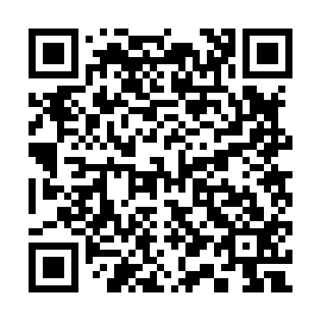 QR code for S12813