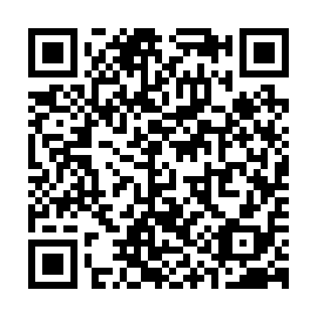 QR code for S13218