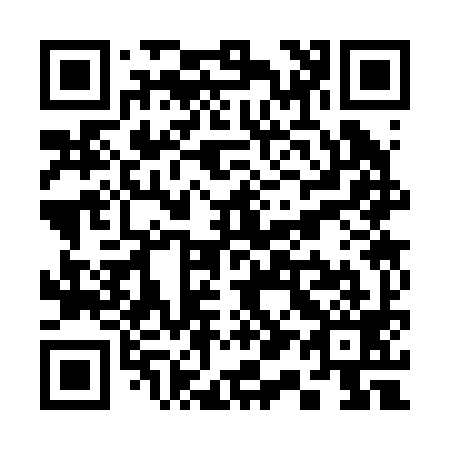 QR code for S13299