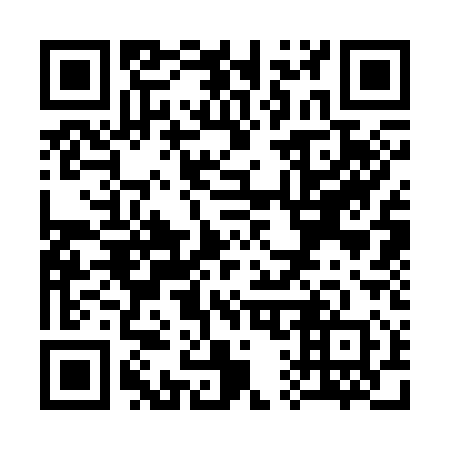 QR code for S13310