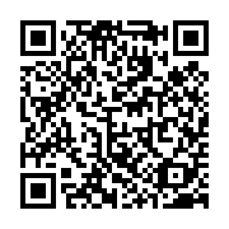 QR code for S13409