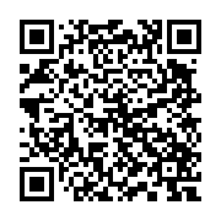 QR code for S13447