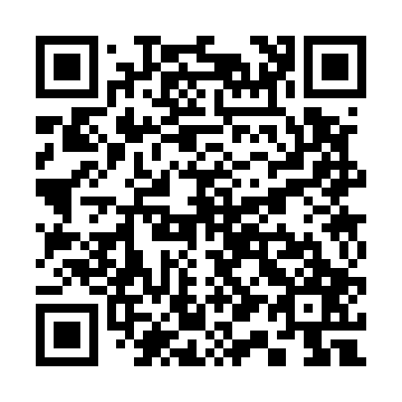 QR code for S13507