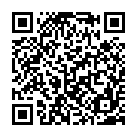 QR code for S13816