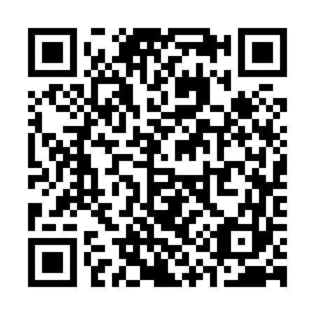 QR code for S13863