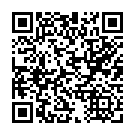 QR code for S16313
