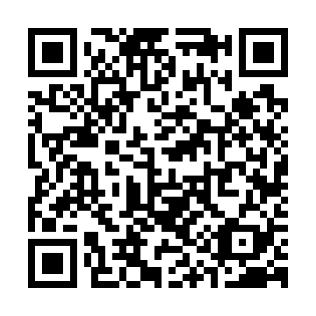 QR code for S16729