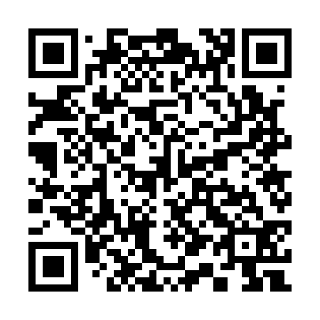 QR code for S17132