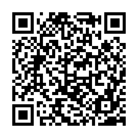 QR code for S17176