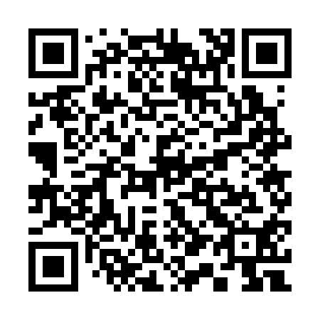 QR code for S17310