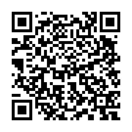 QR code for S17431