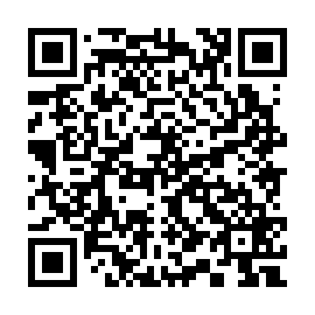 QR code for S18369