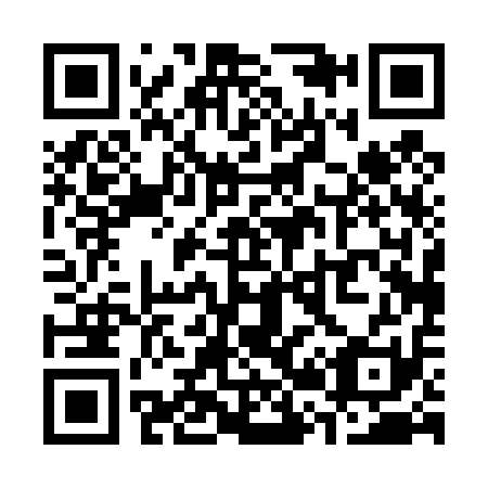 QR code for S20411