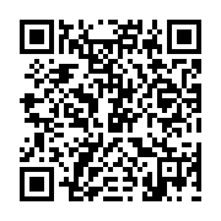 QR code for S28725