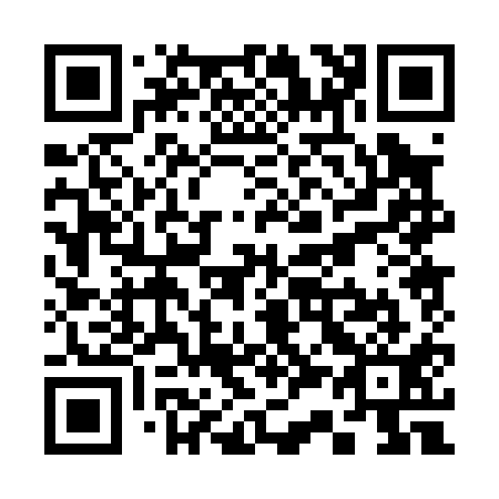 QR code for S30011
