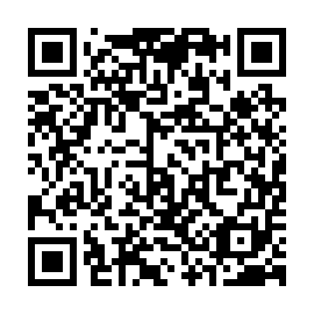 QR code for S31251