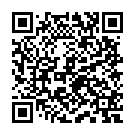 QR code for S31500