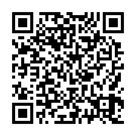 QR code for S38369