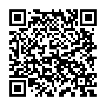 QR code for S38535