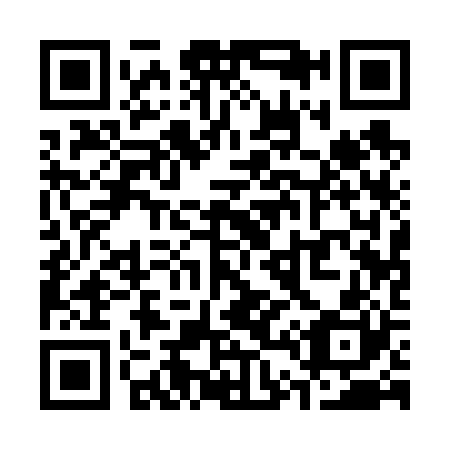 QR code for S41620