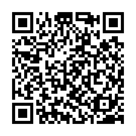 QR code for S41731