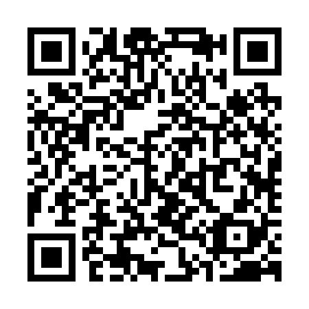 QR code for S42228
