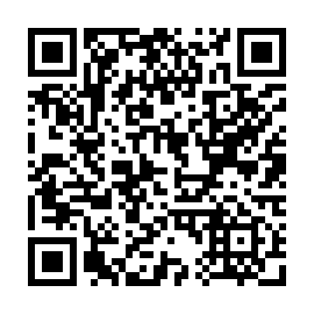 QR code for S46919