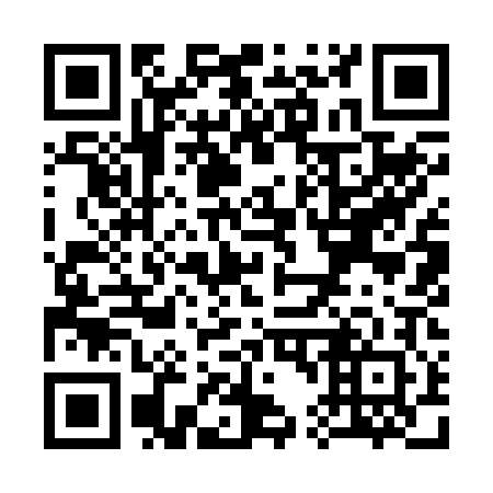 QR code for S49202