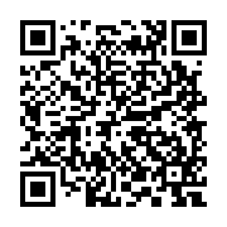 QR code for S50197