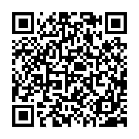 QR code for S50217