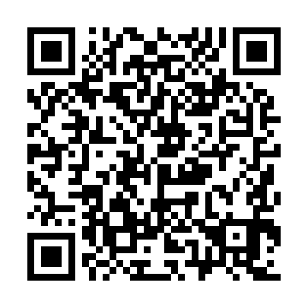 QR code for S50991