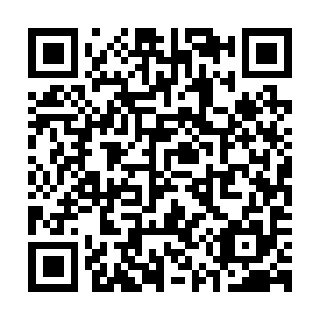 QR code for S55295
