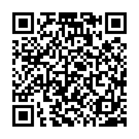 QR code for S58533