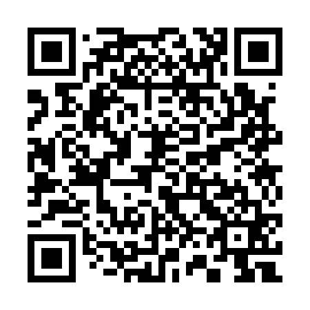 QR code for S63161