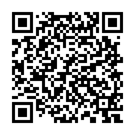 QR code for S63190