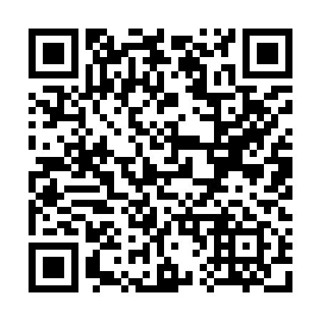 QR code for S69919
