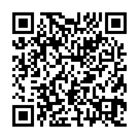 QR code for S73161