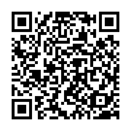 QR code for S82738