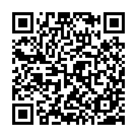 QR code for S85287