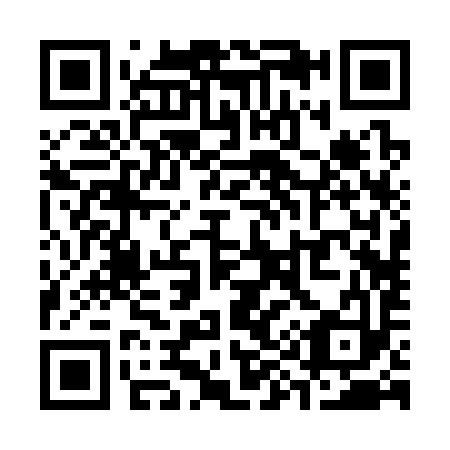 QR code for S92393