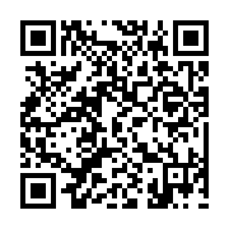 QR code for S92394