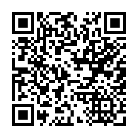 QR code for S95336