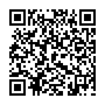 QR code for S95384