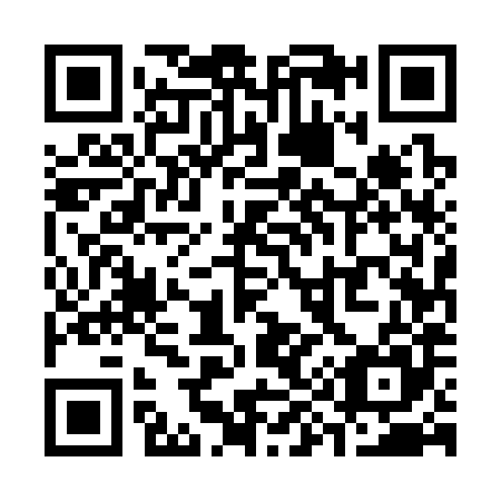 QR code for S95385